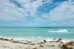 Florida Beach